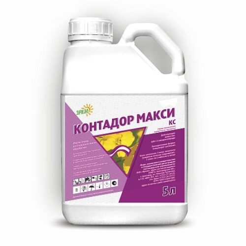 Контадор Макси