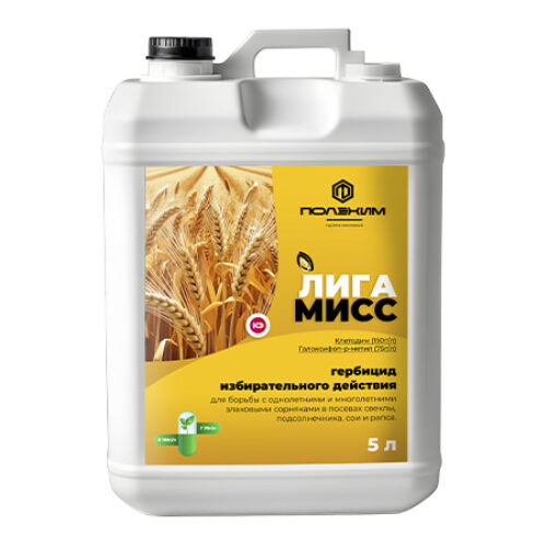 Лигамисс КЭ