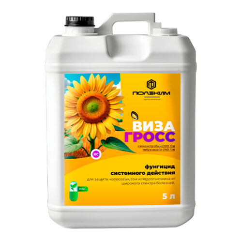 Визагросс КС