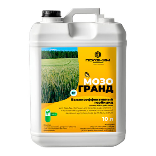 Мозогранд ВР