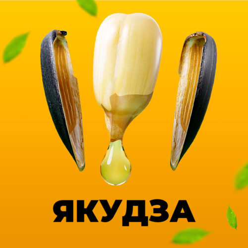 Якудза